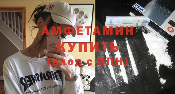 индика Весьегонск