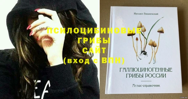 метамфетамин Видное