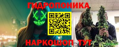 спайс Будённовск