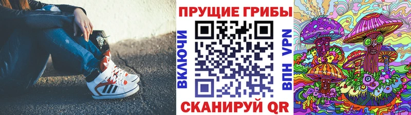 Галлюциногенные грибы Psilocybine cubensis  Дзержинский 
