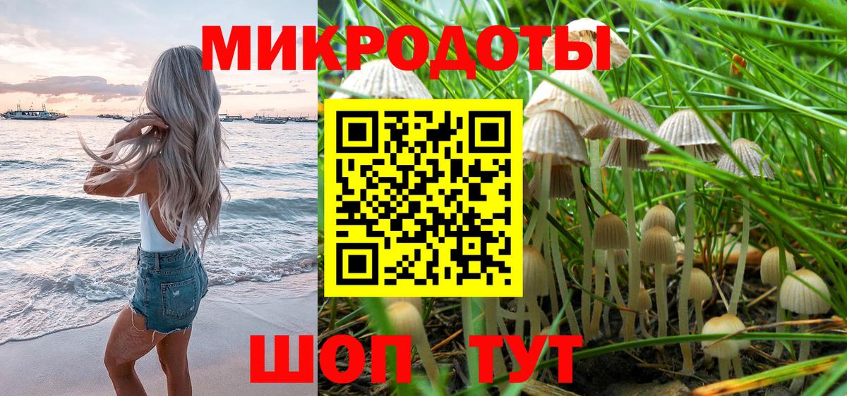 Галлюциногенные грибы мухоморы  Псилоцибиновые грибы Cubensis  Дзержинский 