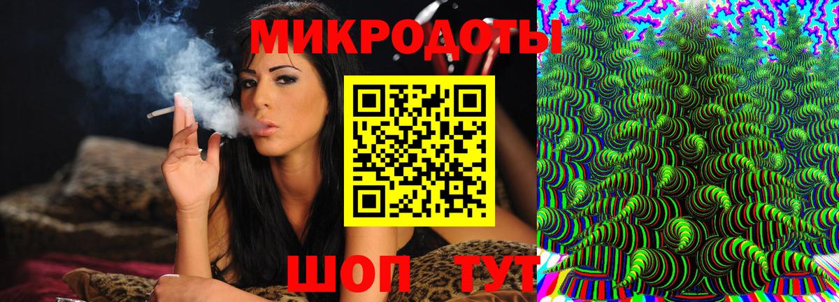 Псилоцибиновые грибы Cubensis Дзержинский